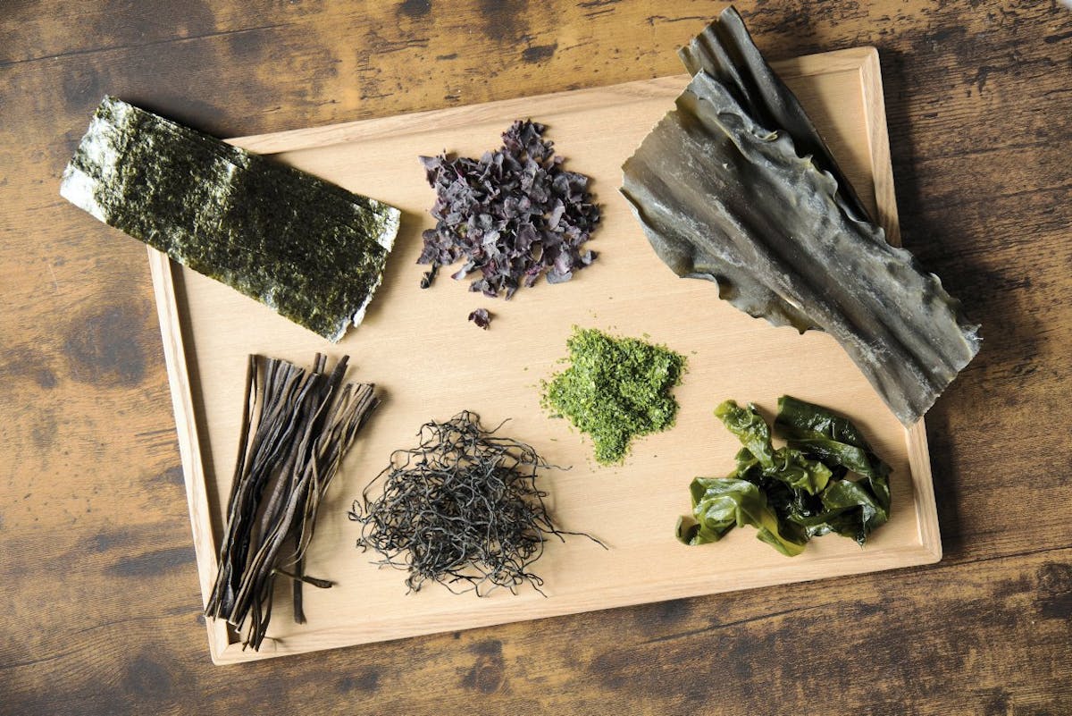 20 recettes avec des algues