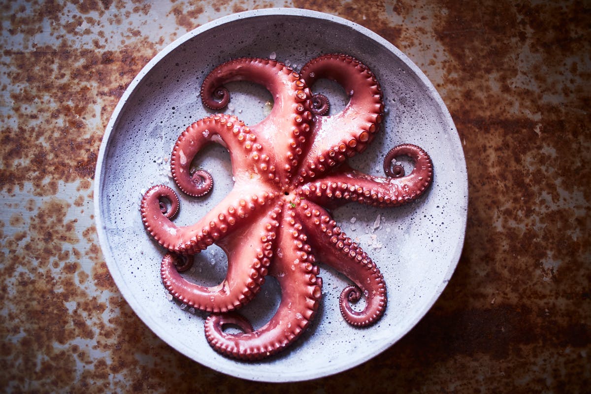 
                Osez le poulpe ! Astuces et recettes pour une cuisson parfaite 
                            