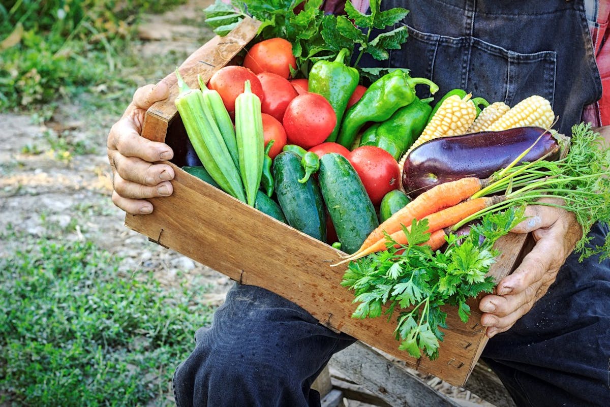 Restaurez votre équilibre acido-basique : découvrez comment dès maintenant ! 
                Comment restaurer son équilibre acido-basique?