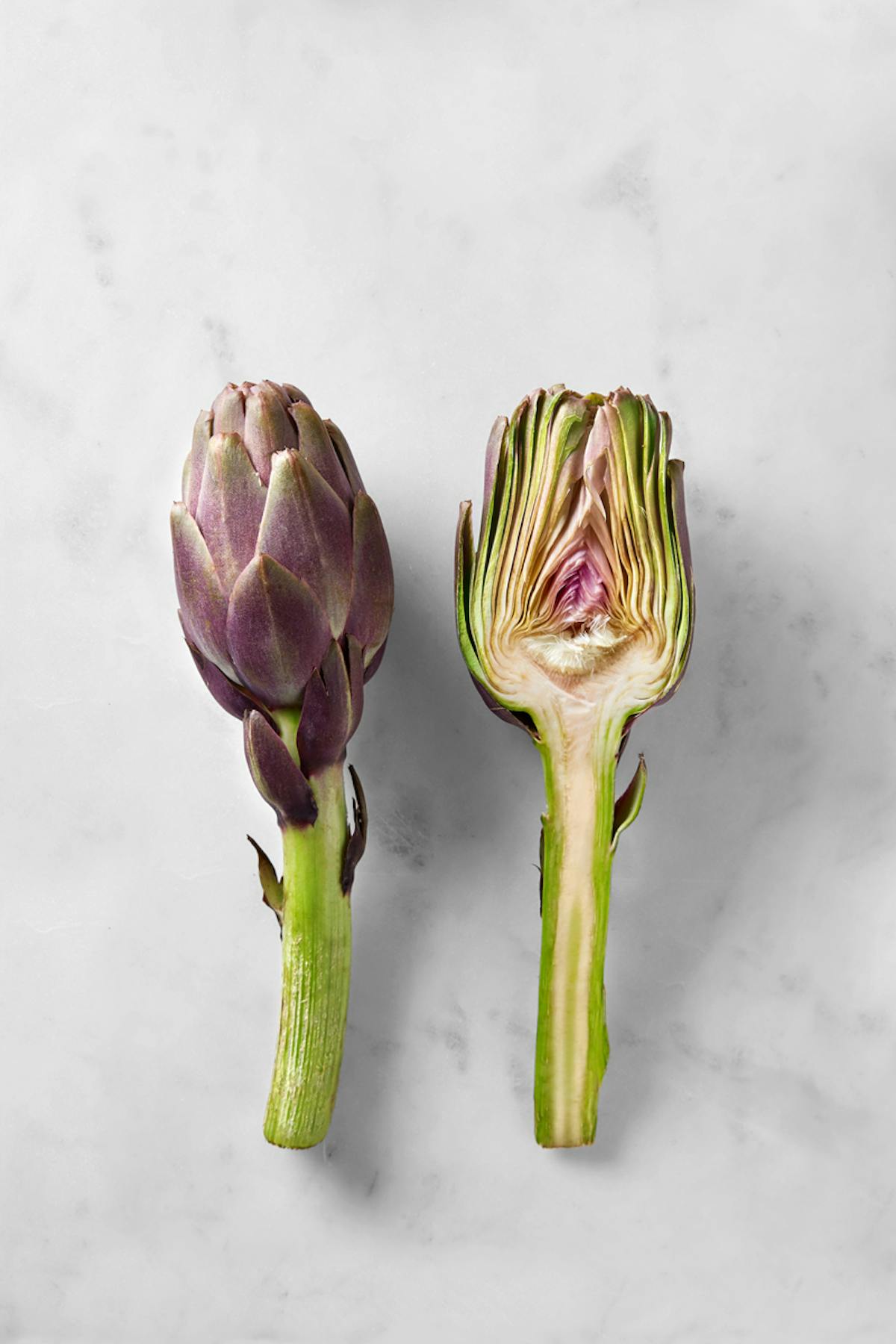 30 recettes incontournables à base d’artichaut – Découvrez-les ici! Artichaut : nos 30 meilleures recettes